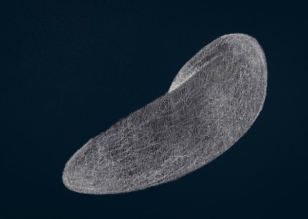 Becoming: shell, 2025 Alia Hussain Lootah