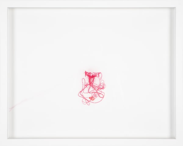 i can, 2024 Sara Al Haddad