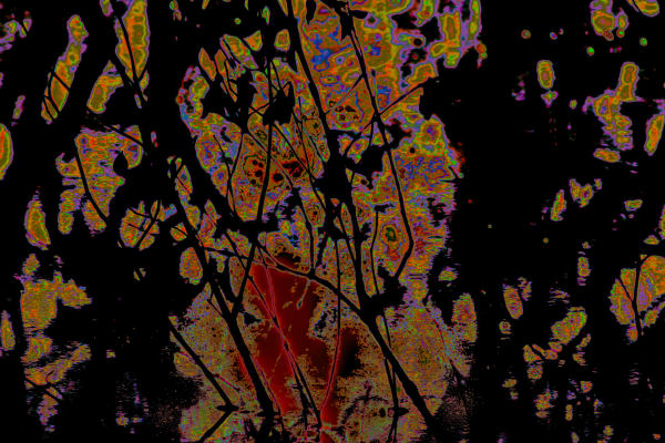 Ruqaya Al Hashmi, Can you see me between the lines?, 2022