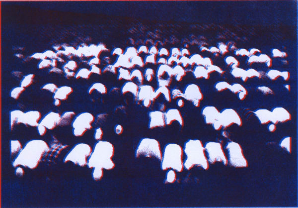 Ammar Al Attar, The Appearance of..., 2016