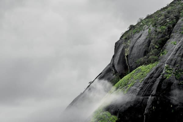 Filipe Branquinho, Terra bestiarium, 2020