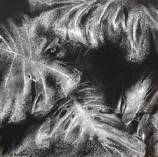 30 x 30