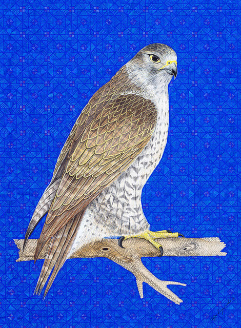Filipe Branquinho, Saker, 2022