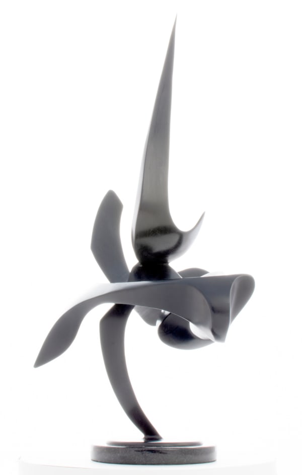 CALLIOPE MAQUETTE, 2016