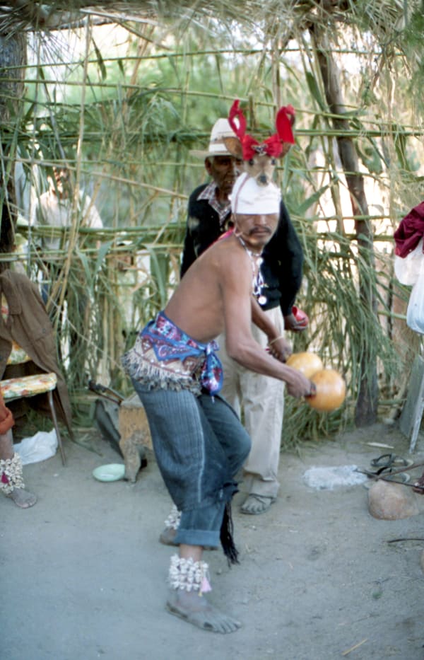 Alberto Herrera, Danza del venado