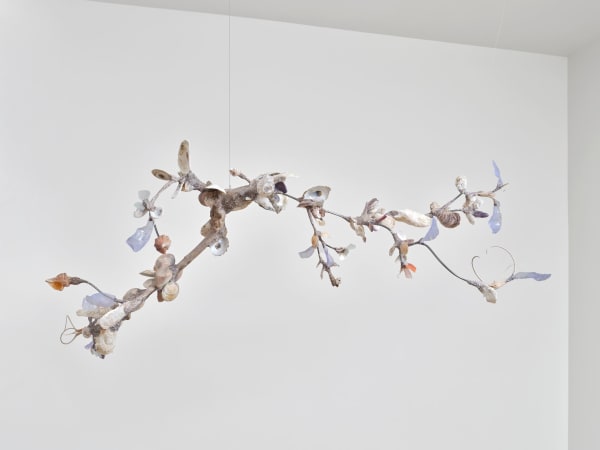 Shuyi Cao, Xenophora III, 2025