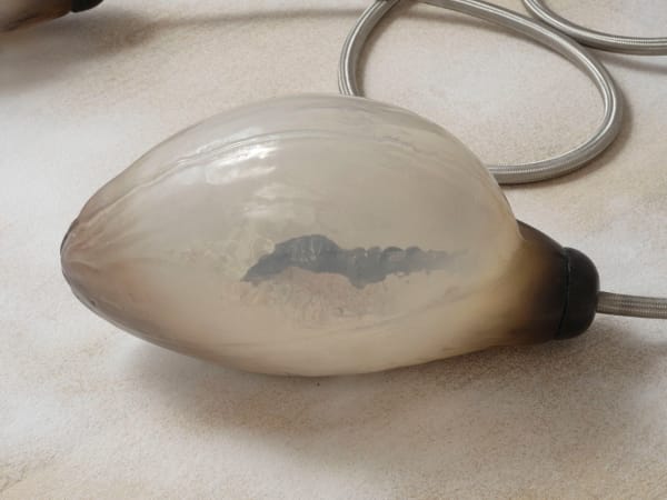 Ivana Bašić, Hypostasis, 2024