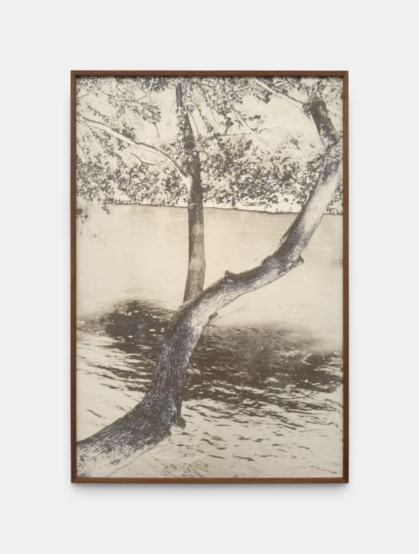 Feiyi Wen, The Untitled, 2025