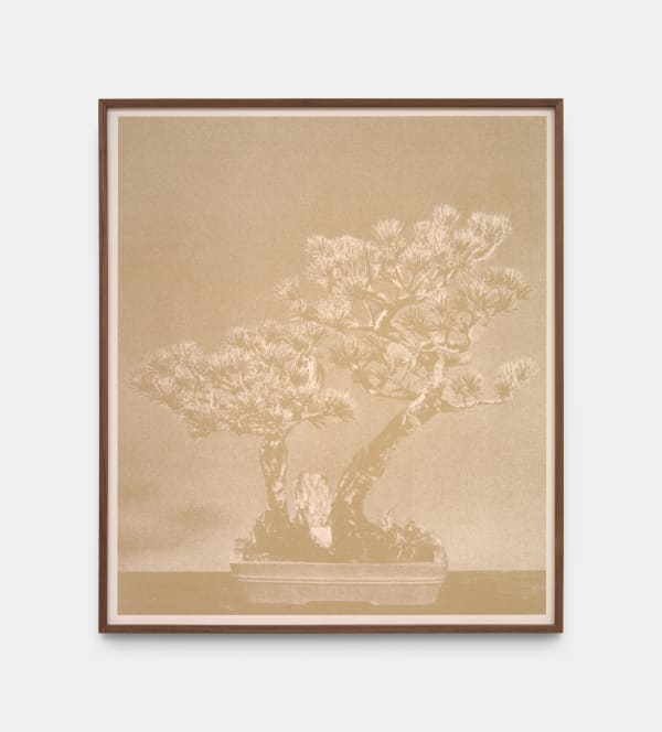 Feiyi Wen, The Untitled, 2025