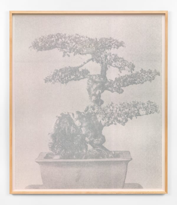 Feiyi Wen, The Untiled, 2021