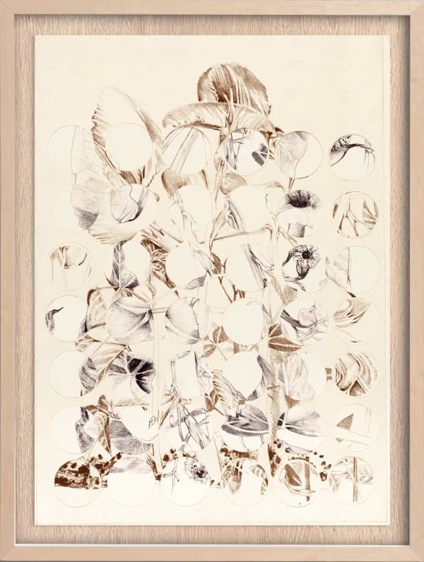 Liliane Dardot e Marcelo Silveira da Flor do mato em Secret life, 1985/2025 recorte e sobreposição de litografias 66,5 x 47,5 cm (sem moldura) 80 x 61 cm (com moldura)