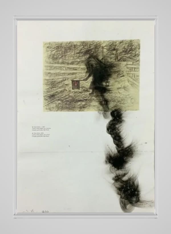 Nuno Ramos, Fumaça para Goeldi, , 1996-2010