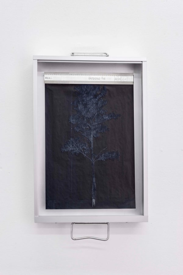 Marcelo Moscheta, Carbono 14 - 09, 2015