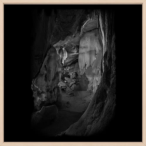 Pedro Motta, Jardim Oculto #5 ISAIAS, 2019