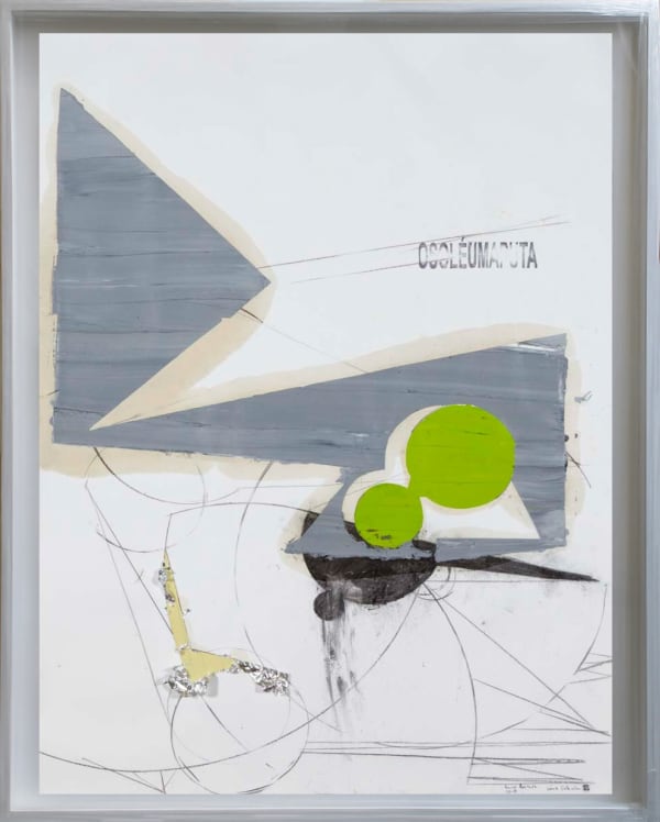 Nuno Ramos, Série Schreber, 2012