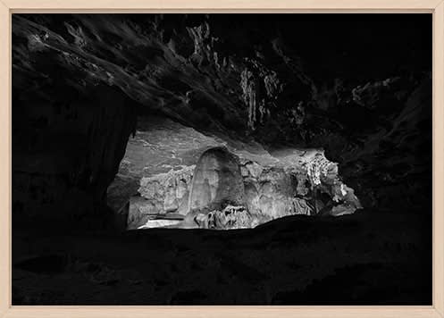 Pedro Motta, Jardim Oculto #2 NAUM, 2019