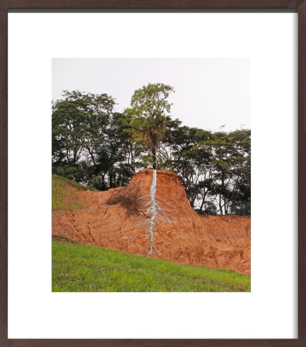 Pedro Motta, Sem título - Série Natureza das Coisas, 2013
