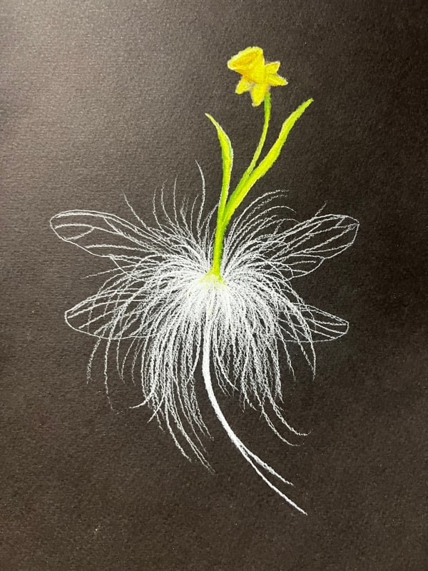 Efe Godoy - Jardim de amigos imaginarios, 2024