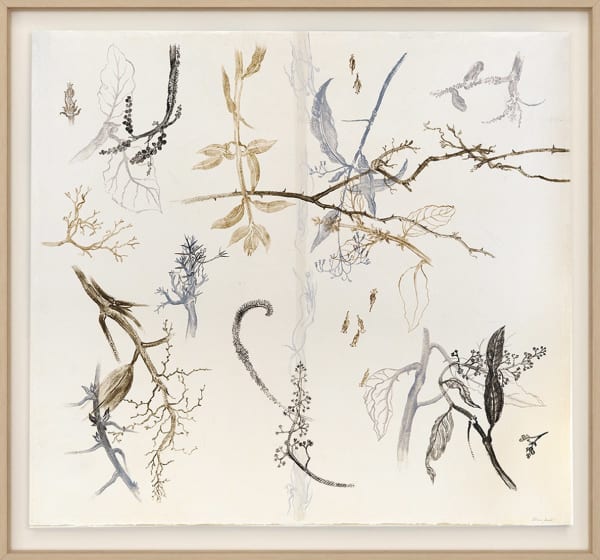 Liliane Dardot, Mato Dentro 3, 2025