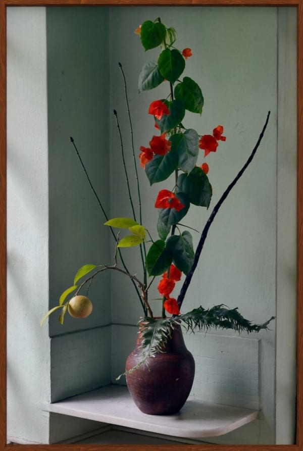 Rochelle Costi, Bugainville - Série: Florada, 2020