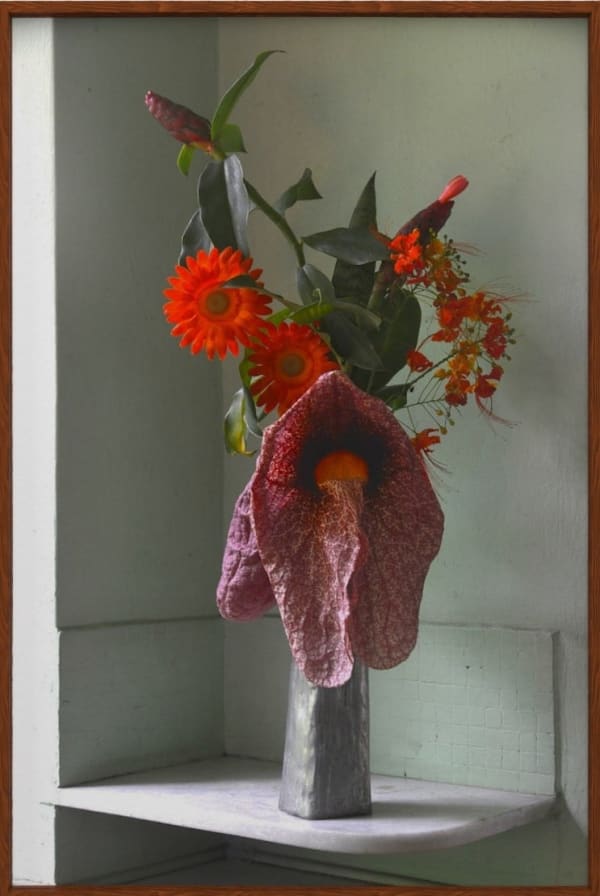 Rochelle Costi, Papo de Peru - Série: Florada, 2018