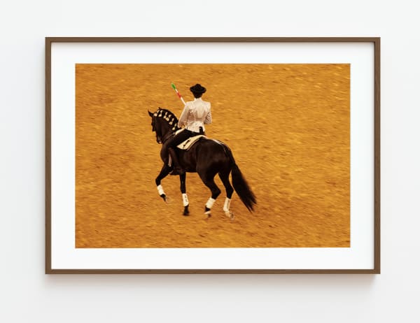 Flavia Bertinato, Série Touradas (Arena), 2021