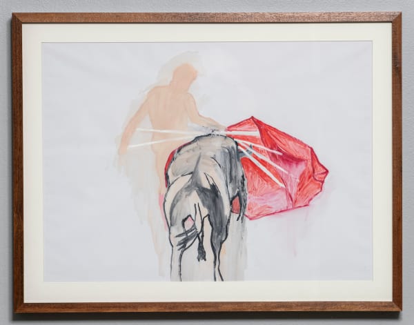 Flavia Bertinato, Série Tourada, 2021