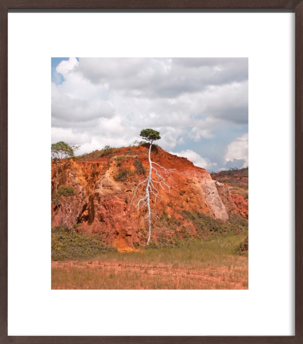 Pedro Motta, Sem título - Série Natureza das Coisas, 2013