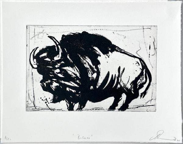 Chris Burns, Bison, 2021