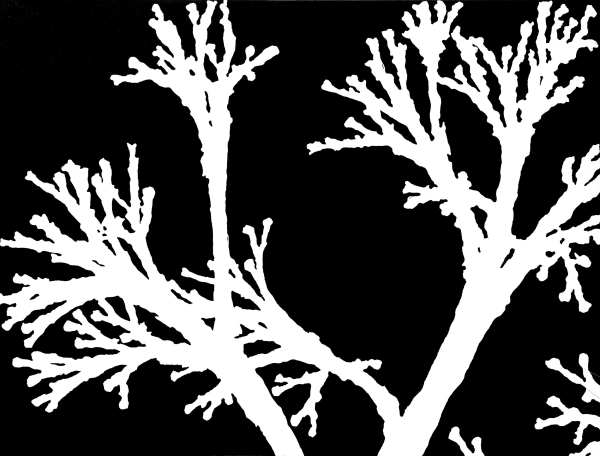 Lin Utzon, Cosmic Dance viii, 2016