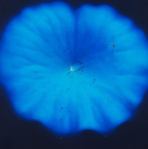 Blue Moon