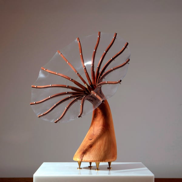 Simon Tayler, Flux