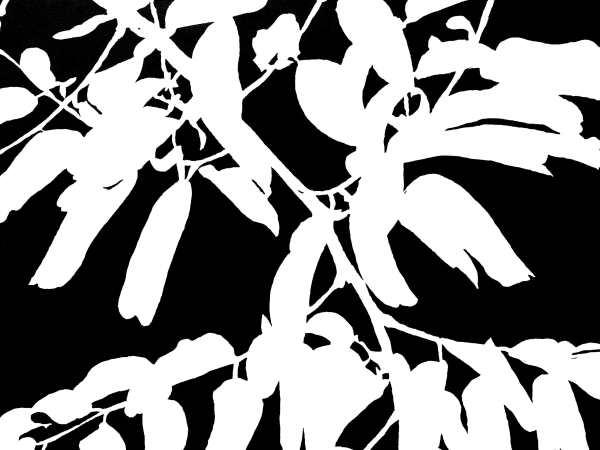 Lin Utzon, Cosmic Dance vii, 2016