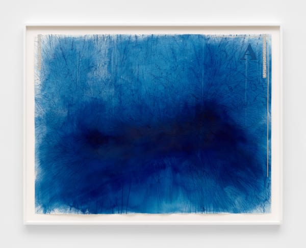 Ricardo Brey Grass Bed, 2023 Mixed media on paper 47 1/2 x 62 3/4 in (120.7 x 159.4 cm) 53 x 68 x 2 in framed (134.6 x 172.7 x 5.1 cm framed)