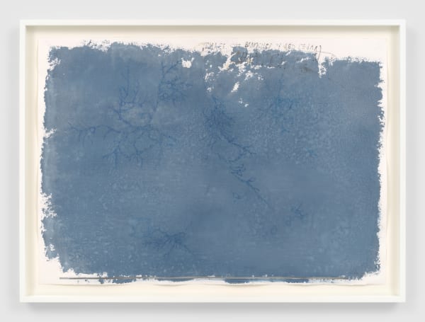 Ricardo Brey Three Branches of Red Cedar, 2021 Mixed media on paper 27 3/4 x 39 1/4 in (70.5 x 99.7 cm)