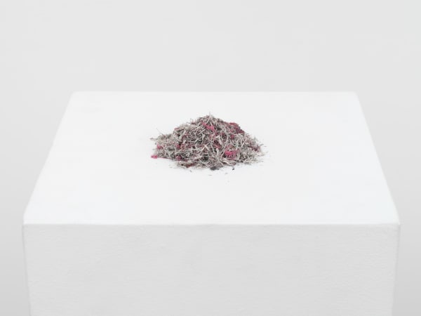 Bethany Collins Remarks on the Outcome of the Election, 1980, 2023 Somerset paper with Pink Pearl eraser Dimensions variable
