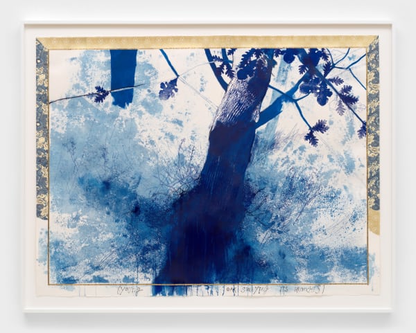 Ricardo Brey Young Oak Swaying Its Branches, 2024 Mixed media on paper 47 3/4 x 62 3/4 in (121.3 x 159.4 cm) 53 1/2 x 68 1/2 x 2 in framed (135.9 x 174 x 5.1 cm framed)