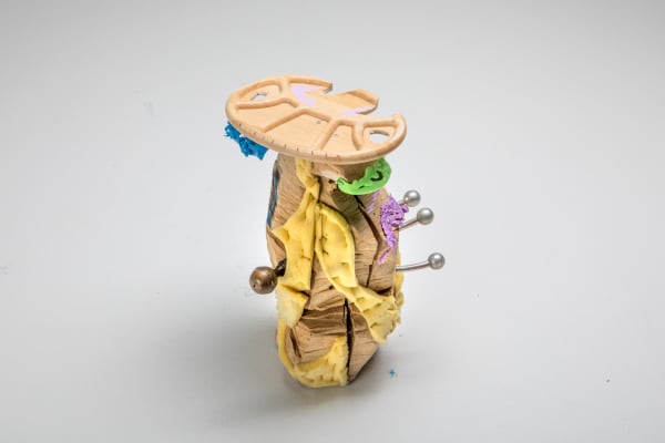 Messgewand, Brimade éloquente, 2019
