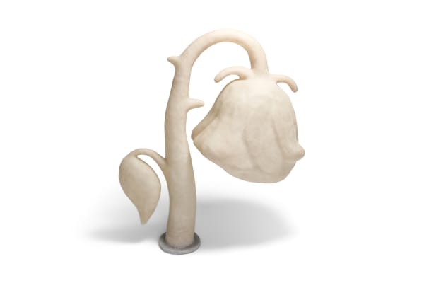 Daan Gielis, Mama, je hoeft niet te huilen, 2019