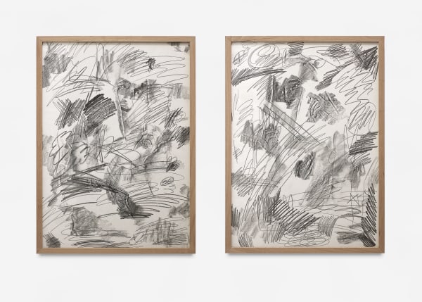 Leo Luccioni, Double épaisseur, 2018