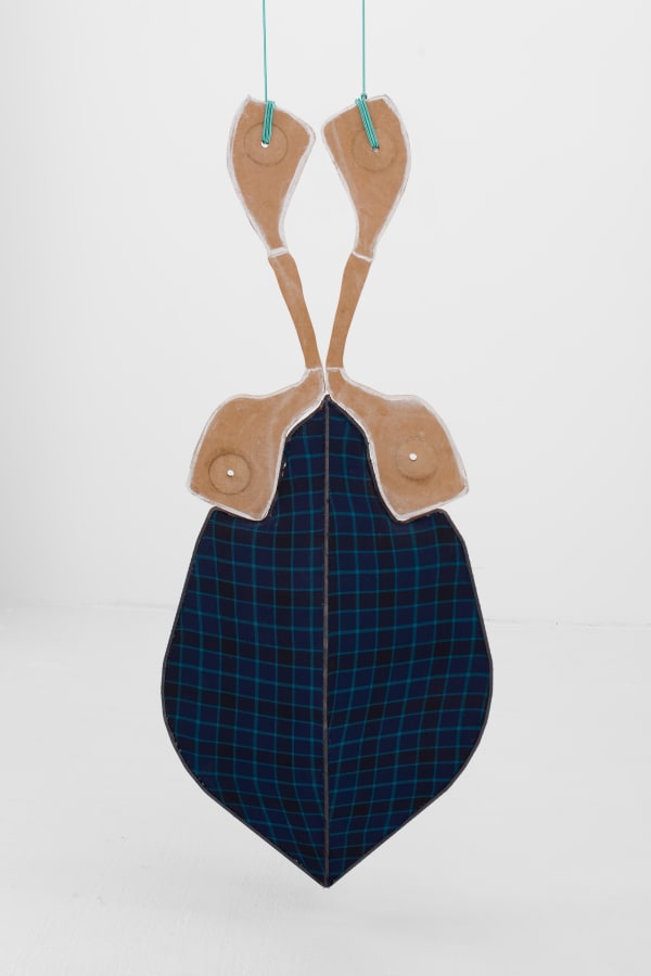 Fran Van Coppenolle, H17G17, 2021