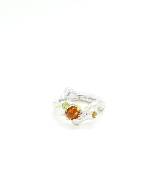 Fragille x Schimmel & Schweikle, Branch ring with ice, 2020