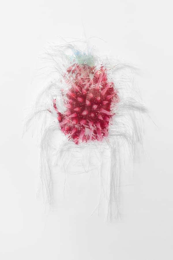 Estrid Lutz, xenobiology, day 1, 2020