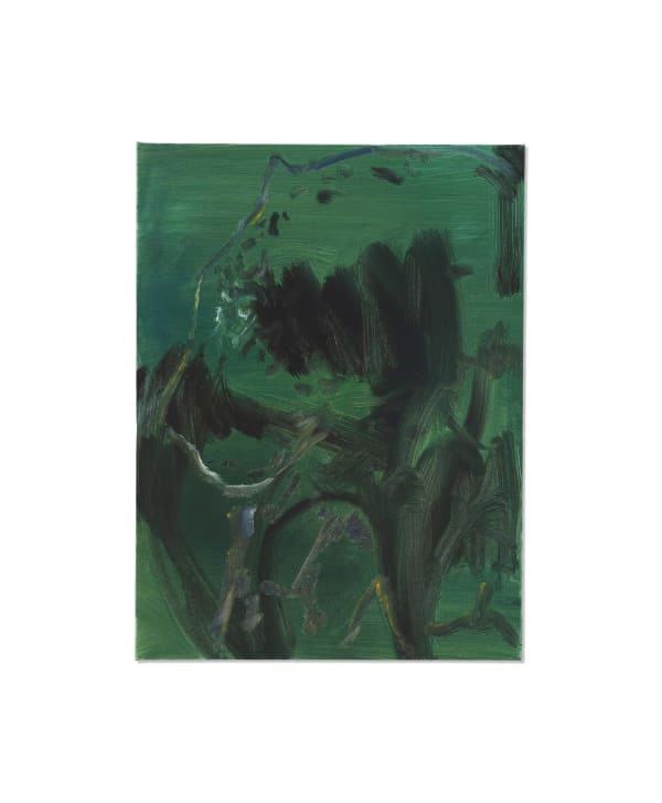 Bram Kinsbergen, big cats studies (01), 2022