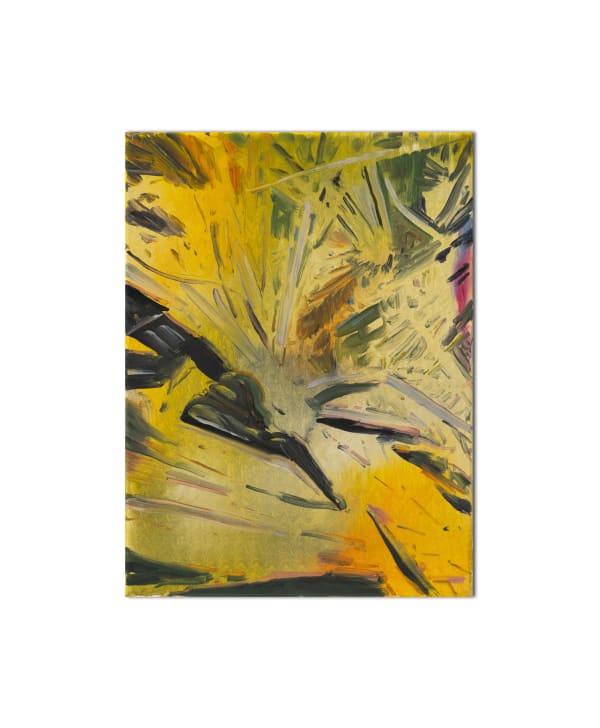 Bram Kinsbergen, Botanical studies (01), 2023