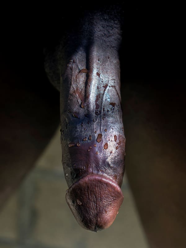 Florian Hetz, Untitled (9 - small), 2018