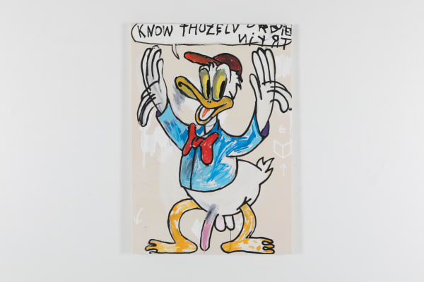 Adrien Vermont, Flyin Delphi Duck duck, 2020