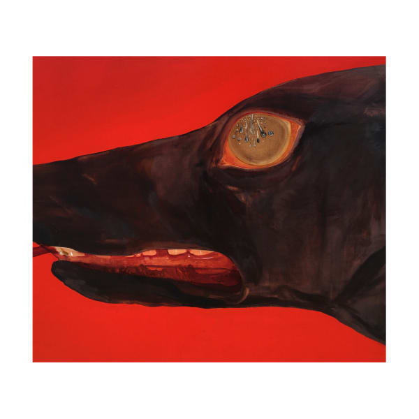 Rae Klein, Care, 2021