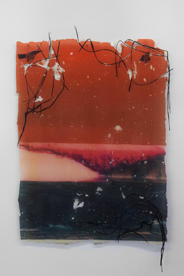 Estrid Lutz, Hash through acid - zicatela, 2019