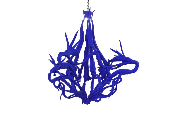 Etienne Marc, Strelitzia, 2020